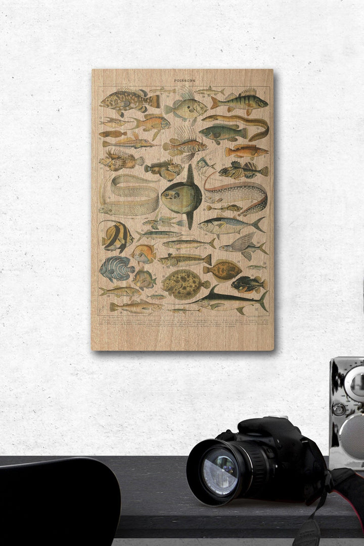 Fish, A, Vintage Bookplate, Adolphe Millot Artwork, Wood Signs and Postcards Wood Lantern Press 12 x 18 Wood Gallery Print 