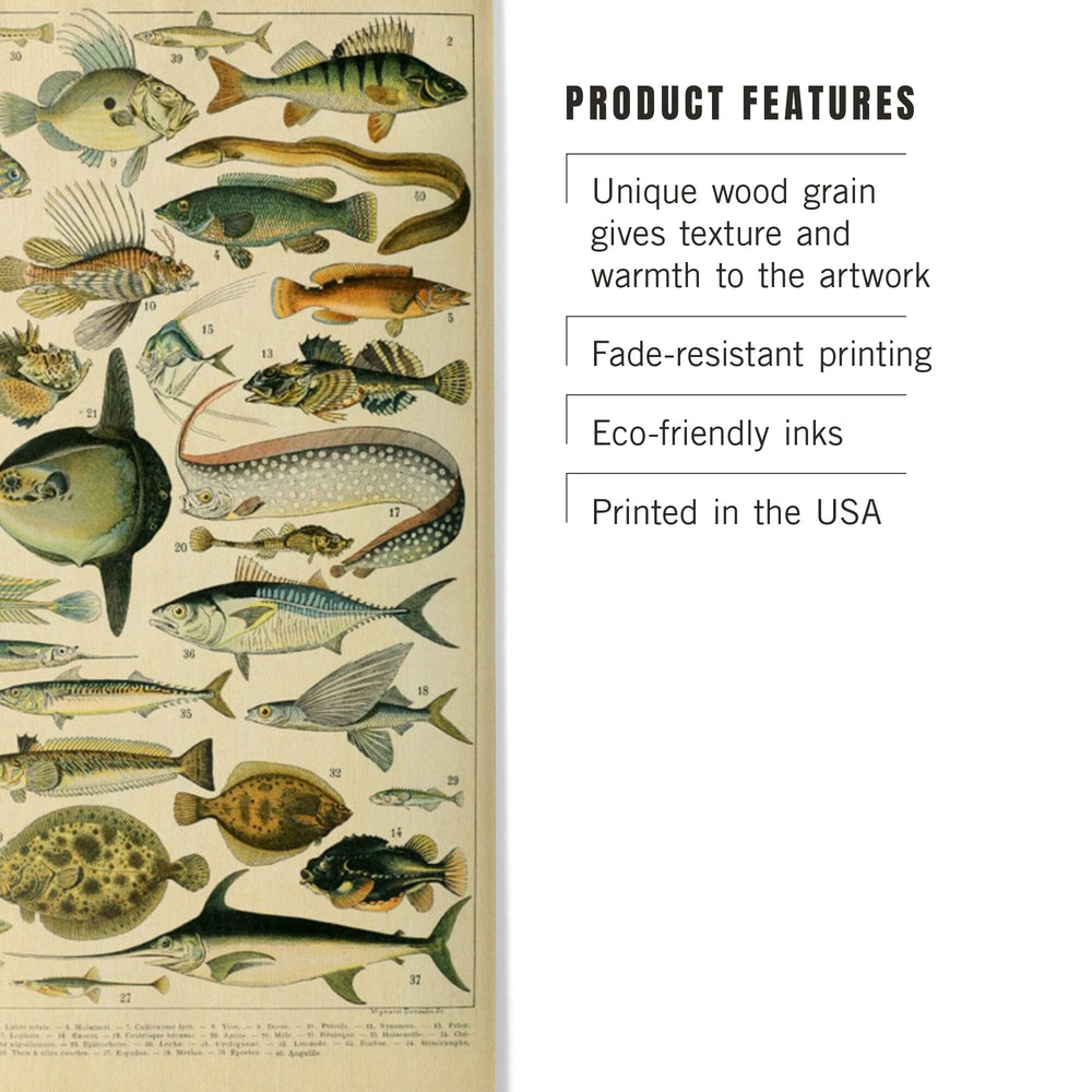 Vintage Fish Diagram // Poissons II by Adolphe Millot XL 19th Century  Science Textbook Artwork Bath Mat by Public Artography