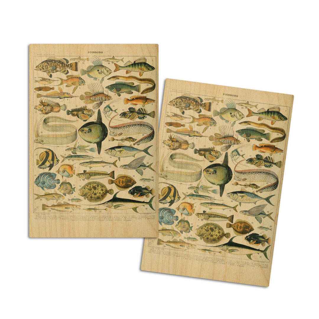 Fish, A, Vintage Bookplate, Adolphe Millot Artwork, Wood Signs and Postcards Wood Lantern Press 4x6 Wood Postcard Set 