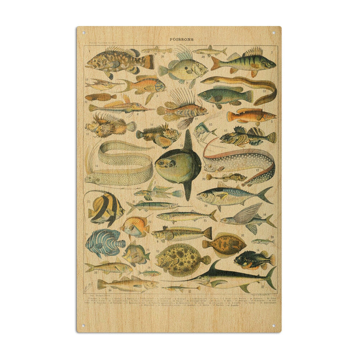 Fish, A, Vintage Bookplate, Adolphe Millot Artwork, Wood Signs and Postcards Wood Lantern Press 6x9 Wood Sign 