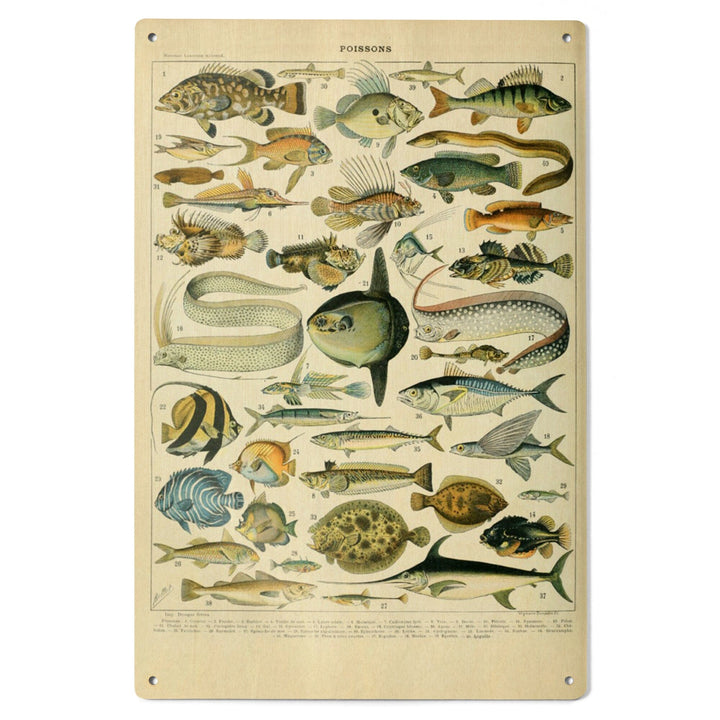 Fish, A, Vintage Bookplate, Adolphe Millot Artwork, Wood Signs and Postcards Wood Lantern Press 
