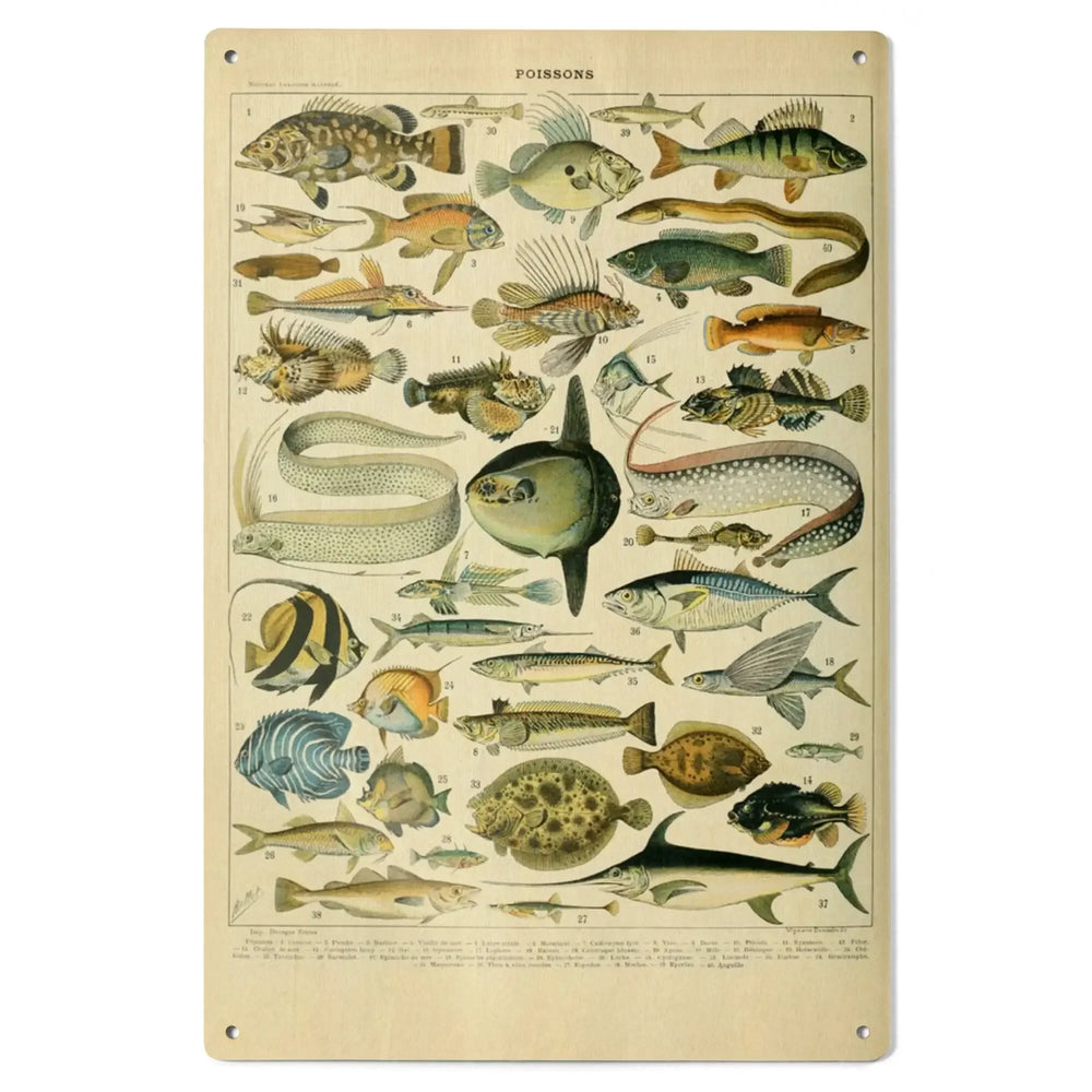 Fish, A, Vintage Bookplate, Adolphe Millot Artwork, Wood Signs and Postcards - Lantern Press