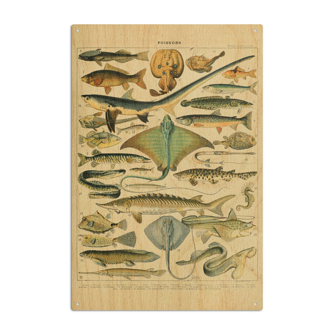 Fish, B, Vintage Bookplate, Adolphe Millot Artwork, Wood Signs and Postcards Wood Lantern Press 10 x 15 Wood Sign 
