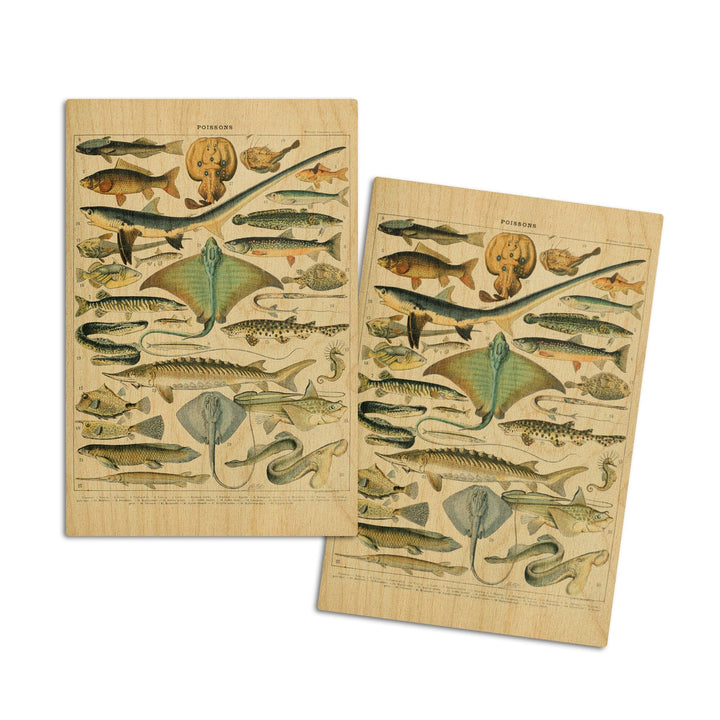 Fish, B, Vintage Bookplate, Adolphe Millot Artwork, Wood Signs and Postcards Wood Lantern Press 4x6 Wood Postcard Set 