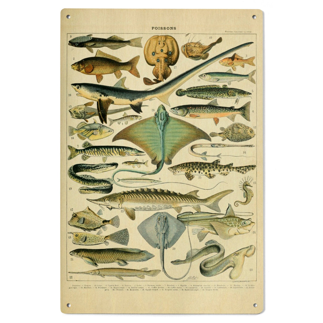 Fish, B, Vintage Bookplate, Adolphe Millot Artwork, Wood Signs and Postcards Wood Lantern Press 