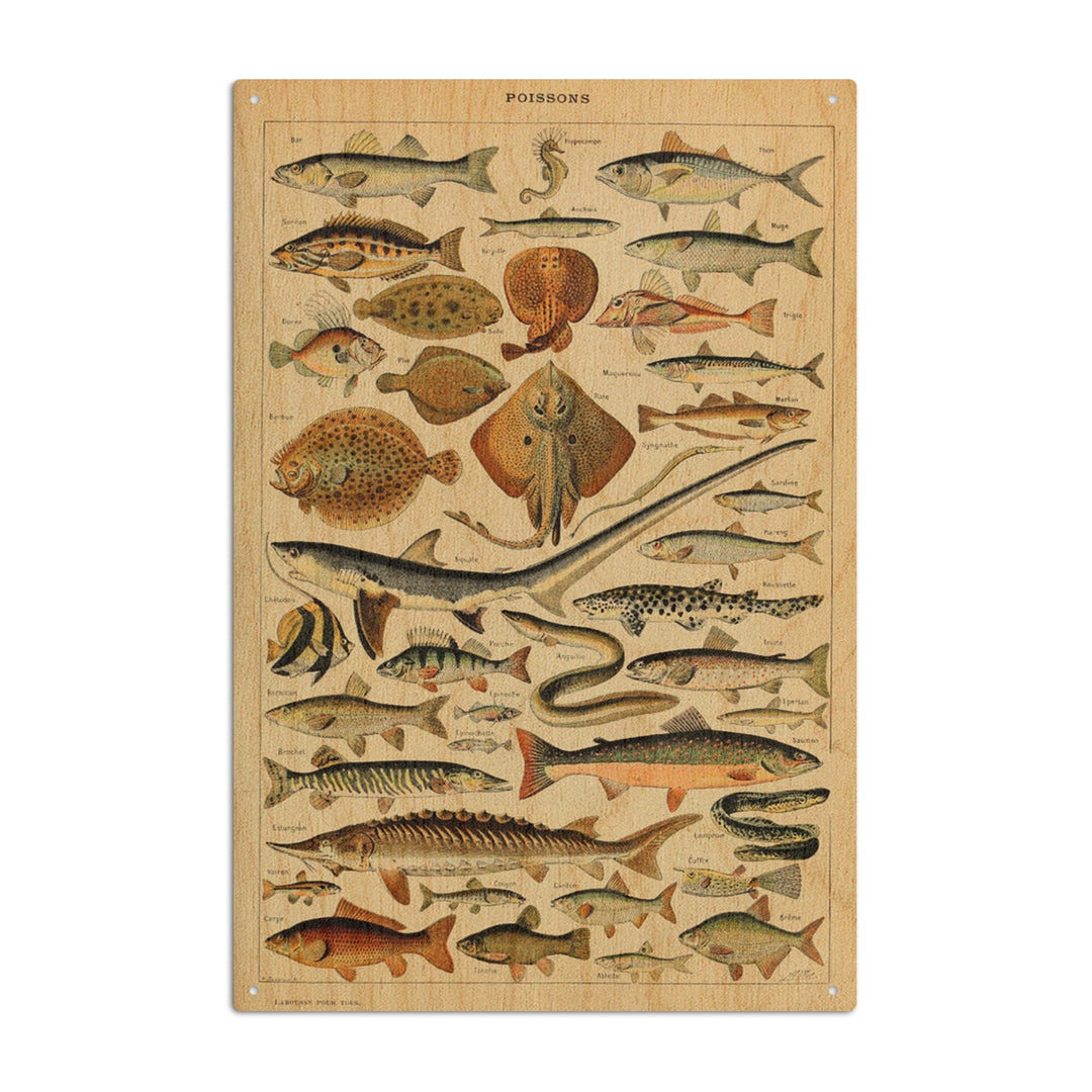 Fish, C, Vintage Bookplate, Adolphe Millot Artwork, Wood Signs and Postcards Wood Lantern Press 10 x 15 Wood Sign 