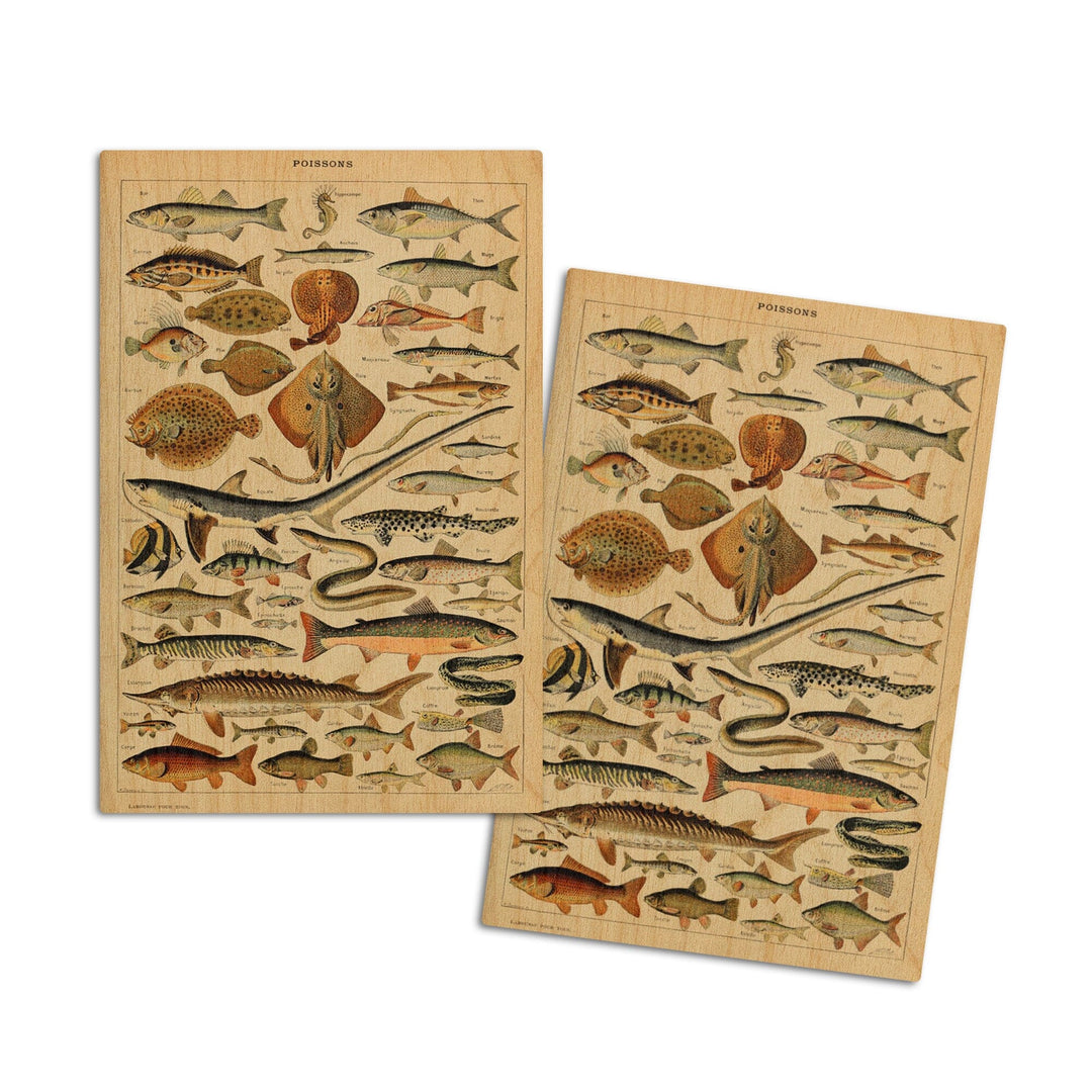Fish, C, Vintage Bookplate, Adolphe Millot Artwork, Wood Signs and Postcards Wood Lantern Press 4x6 Wood Postcard Set 