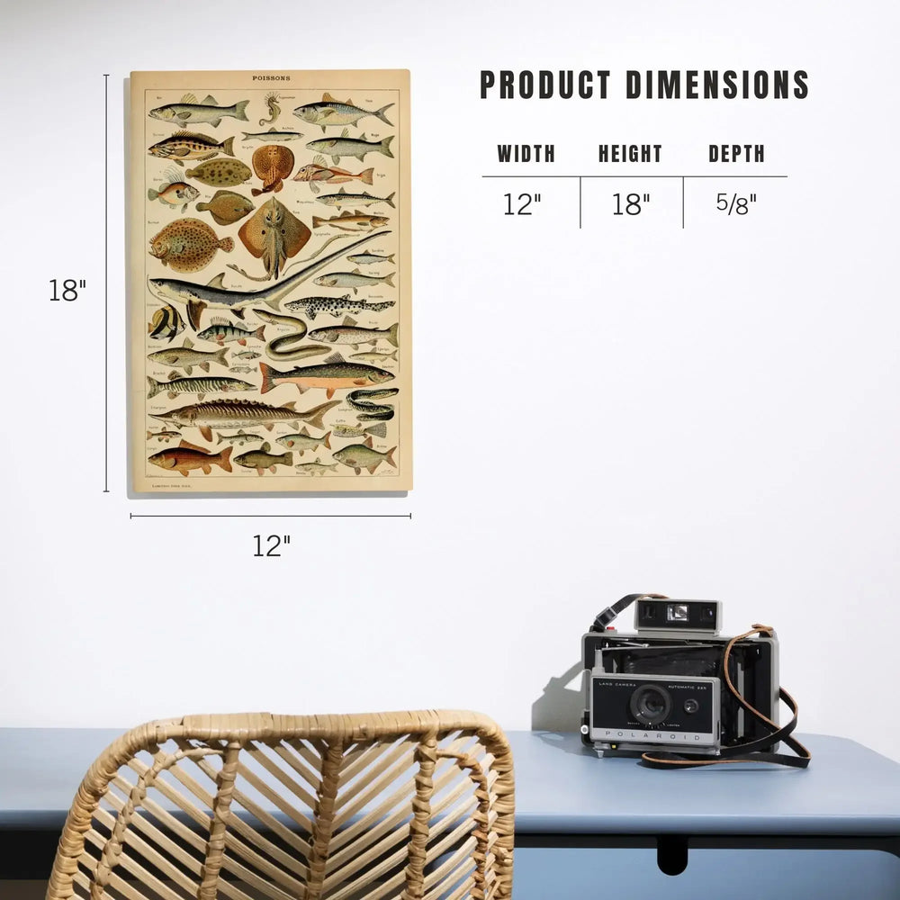 Fish, C, Vintage Bookplate, Adolphe Millot Artwork, Wood Signs and Postcards - Lantern Press