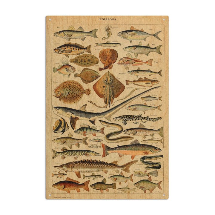 Fish, C, Vintage Bookplate, Adolphe Millot Artwork, Wood Signs and Postcards Wood Lantern Press 6x9 Wood Sign 