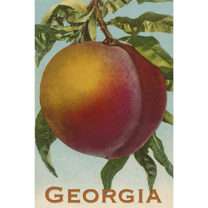 Georgia Peach, Vintage Lithograph, Lantern Press Artwork, Stretched Canvas Canvas Lantern Press 