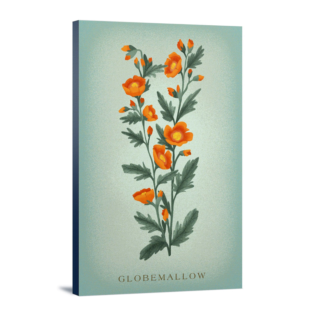 Globemallow, Vintage Flora, Lantern Press Artwork, Stretched Canvas Canvas Lantern Press 12x18 Stretched Canvas 