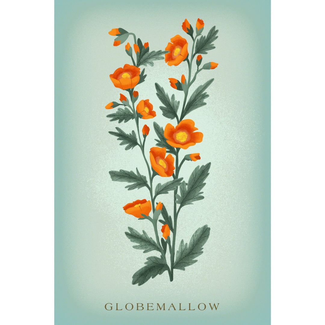 Globemallow, Vintage Flora, Lantern Press Artwork, Stretched Canvas Canvas Lantern Press 