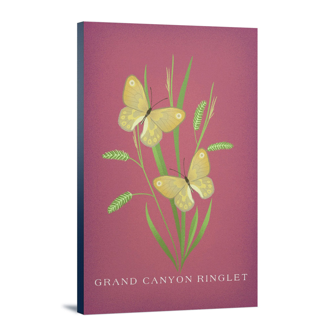 Grand Canyon Ringlet, Vintage Flora, Lantern Press Artwork, Stretched Canvas Canvas Lantern Press 12x18 Stretched Canvas 