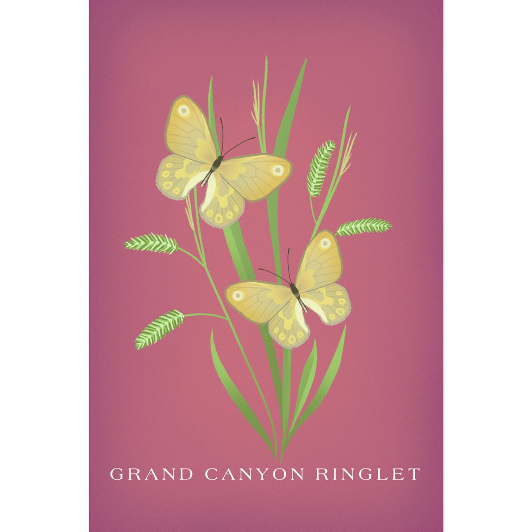 Grand Canyon Ringlet, Vintage Flora, Lantern Press Artwork, Stretched Canvas Canvas Lantern Press 