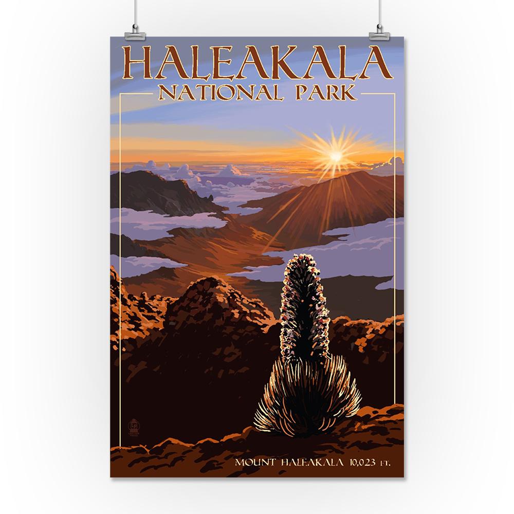 Haleakala National Park, Sunrise, Lantern Press Artwork, Art Prints and Metal Signs Art Lantern Press 16 x 24 Giclee Print 