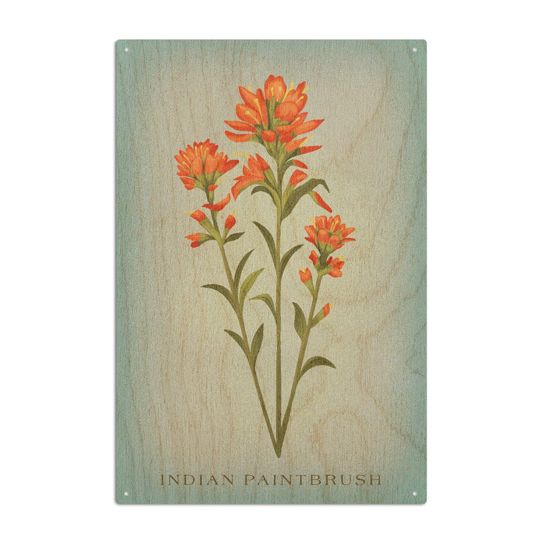 Indian Paintbrush, Vintage Flora, Lantern Press Artwork, Wood Signs and Postcards Wood Lantern Press 10 x 15 Wood Sign 