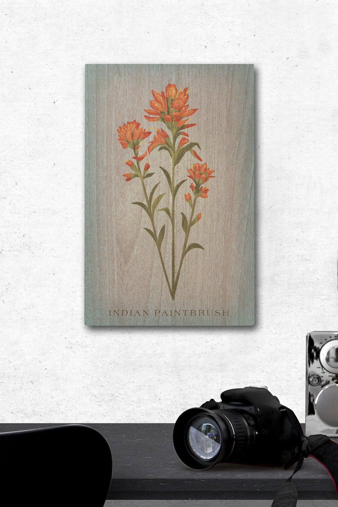 Indian Paintbrush, Vintage Flora, Lantern Press Artwork, Wood Signs and Postcards Wood Lantern Press 12 x 18 Wood Gallery Print 