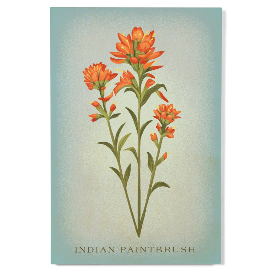 Indian Paintbrush, Vintage Flora, Lantern Press Artwork, Wood Signs and Postcards Wood Lantern Press 
