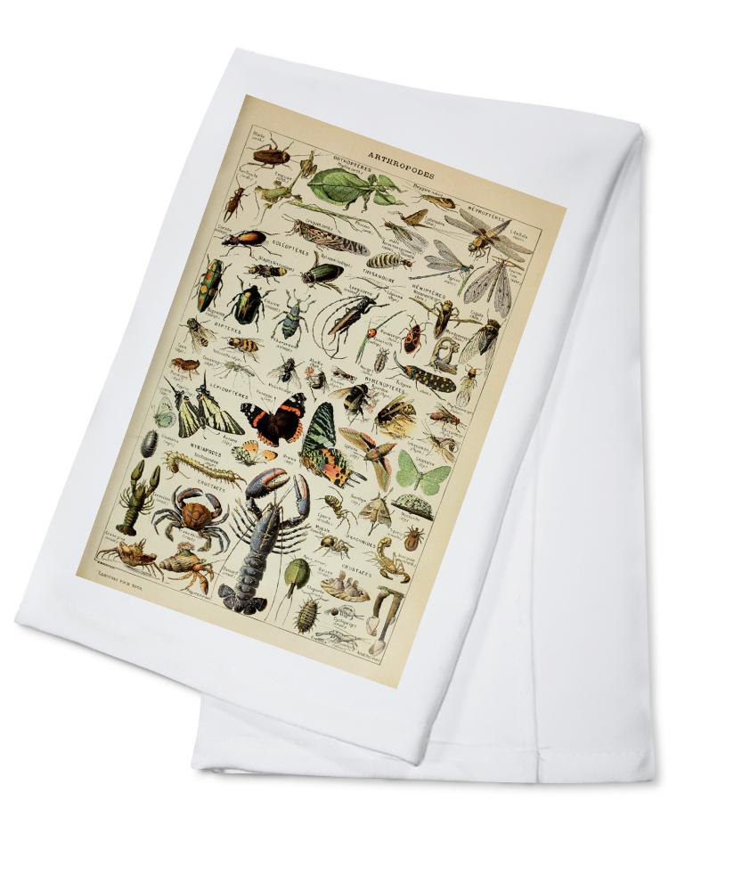 Insects, Vintage Bookplate, Adolphe Millot Artwork, Towels and Aprons Kitchen Lantern Press Cotton Towel 