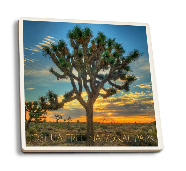 Joshua Tree National Park, California, Tree in Center, Lantern Press Photography, Coaster Set Coasters Lantern Press 