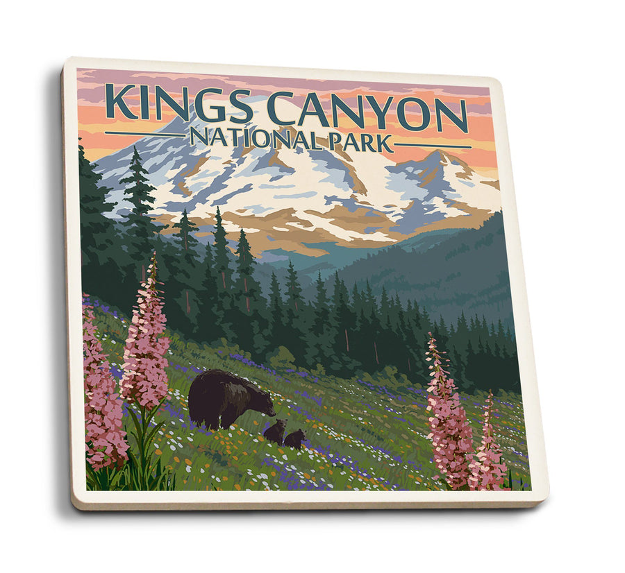 Kings Canyon National Park, Bear Family & Spring Flowers, Lantern Press Poster, Coaster Set Coasters Lantern Press 