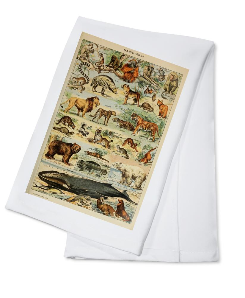 Mammals, D, Vintage Bookplate, Adolphe Millot Artwork, Towels and Aprons Kitchen Lantern Press Cotton Towel 