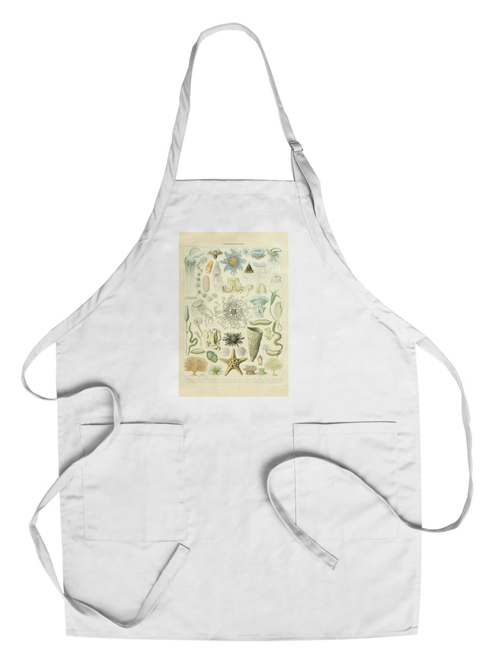 Marine Life, C, Vintage Bookplate, Adolphe Millot Artwork, Towels and Aprons Kitchen Lantern Press Chef's Apron 