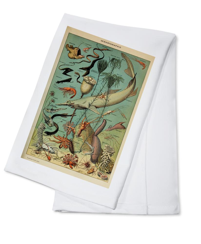 Marine Life, D, Vintage Bookplate, Adolphe Millot Artwork, Towels and Aprons Kitchen Lantern Press Cotton Towel 