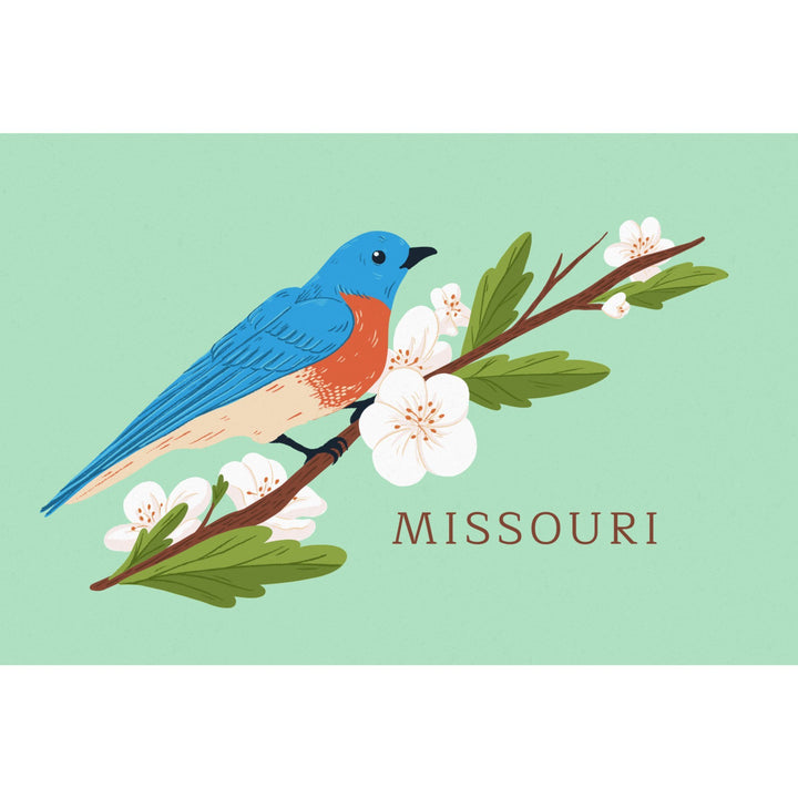 Missouri, State Bird and Flower Collection, Bird on Branch, Contour, Towels and Aprons Kitchen Lantern Press 