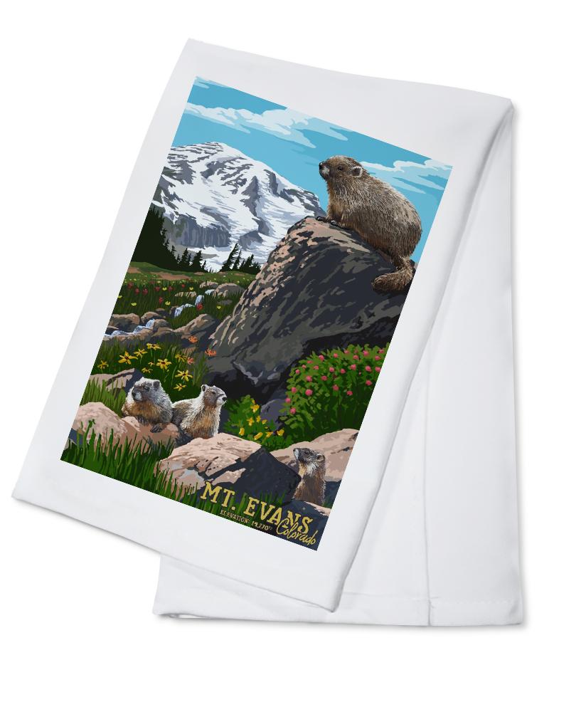 Mount Evans, Colorado, Marmots, Elevation, Lantern Press Artwork, Towels and Aprons Kitchen Lantern Press 