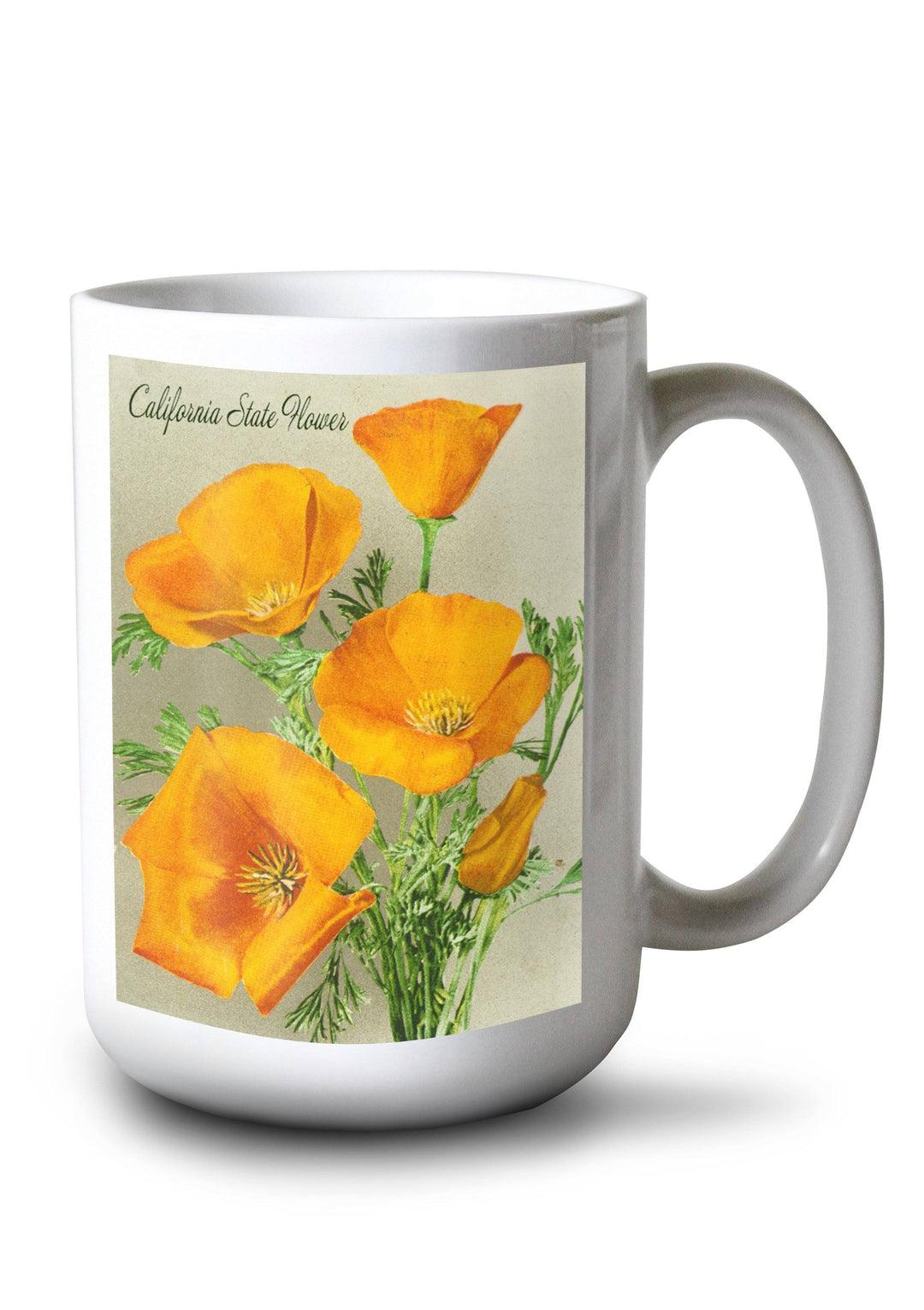Mug (California State Flower, The Californian, Poppy Flowers, Lantern Press Artwork) Lifestyle-Mug Lantern Press 