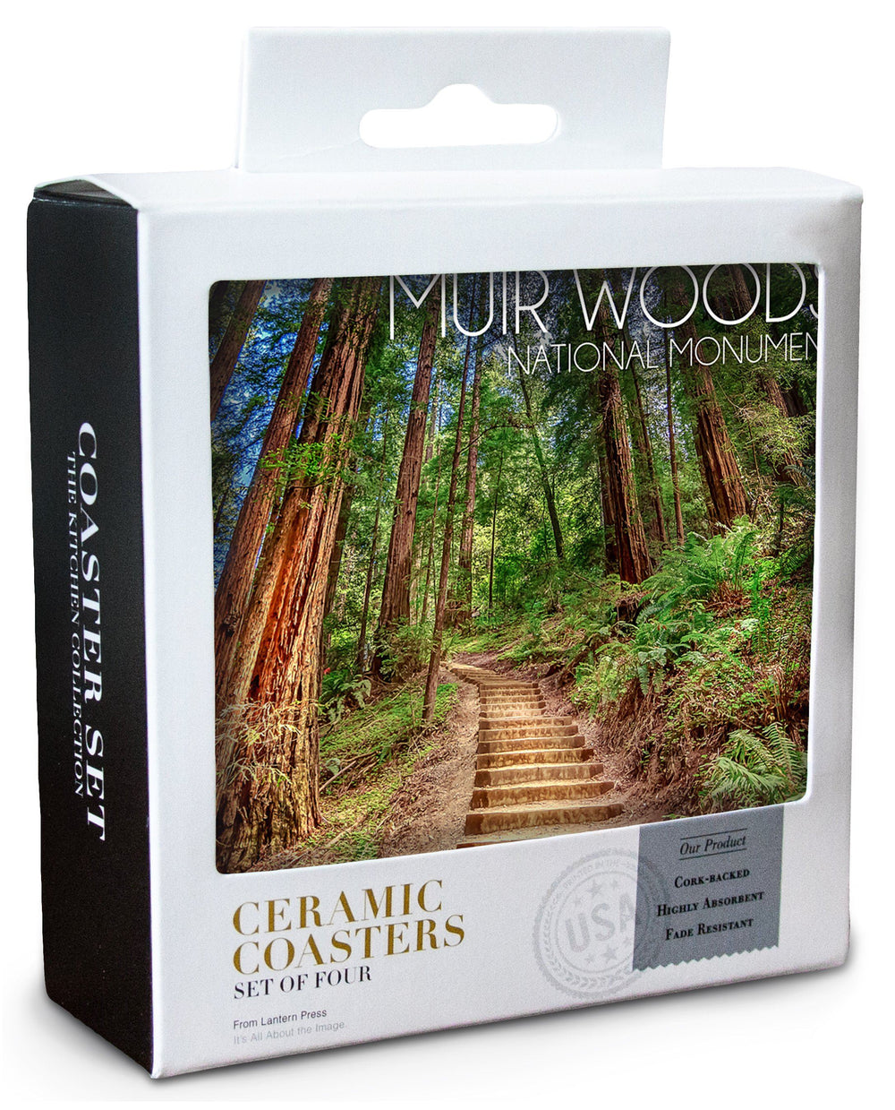Muir Woods National Monument, California, Stairs Photograph, Coaster Set Coasters Lantern Press 