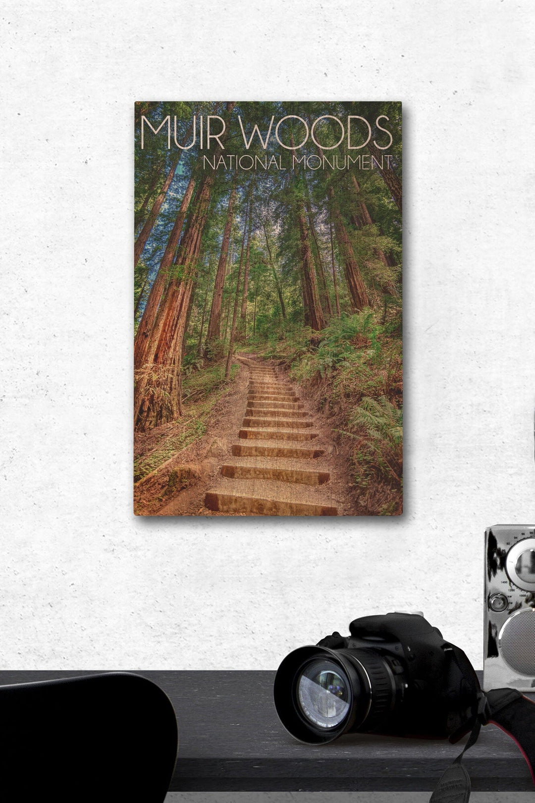 Muir Woods National Monument, California, Stairs Photograph, Wood Signs and Postcards Wood Lantern Press 12 x 18 Wood Gallery Print 