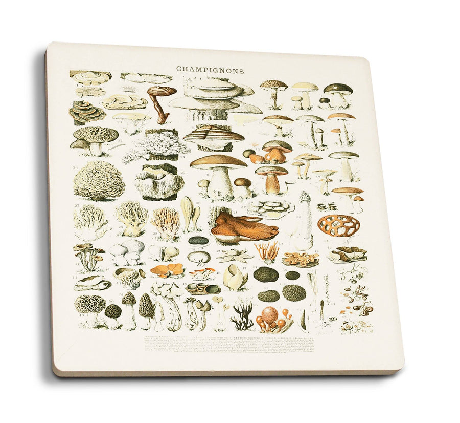Mushrooms, A, Vintage Bookplate, Adolphe Millot Artwork, Coaster Set Coasters Lantern Press 