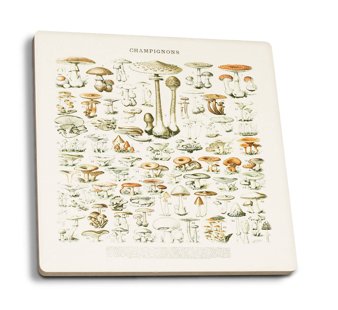 Mushrooms, B, Vintage Bookplate, Adolphe Millot Artwork, Coaster Set Coasters Lantern Press 