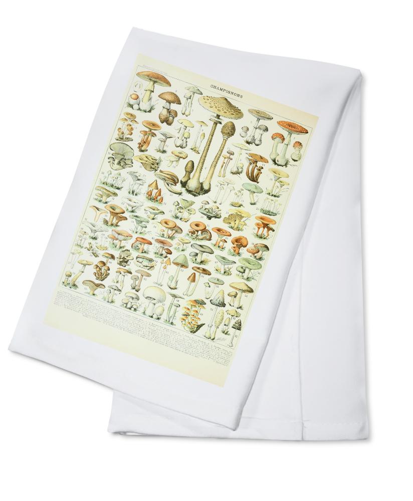 Mushrooms, B, Vintage Bookplate, Adolphe Millot Artwork, Towels and Aprons Kitchen Lantern Press Cotton Towel 
