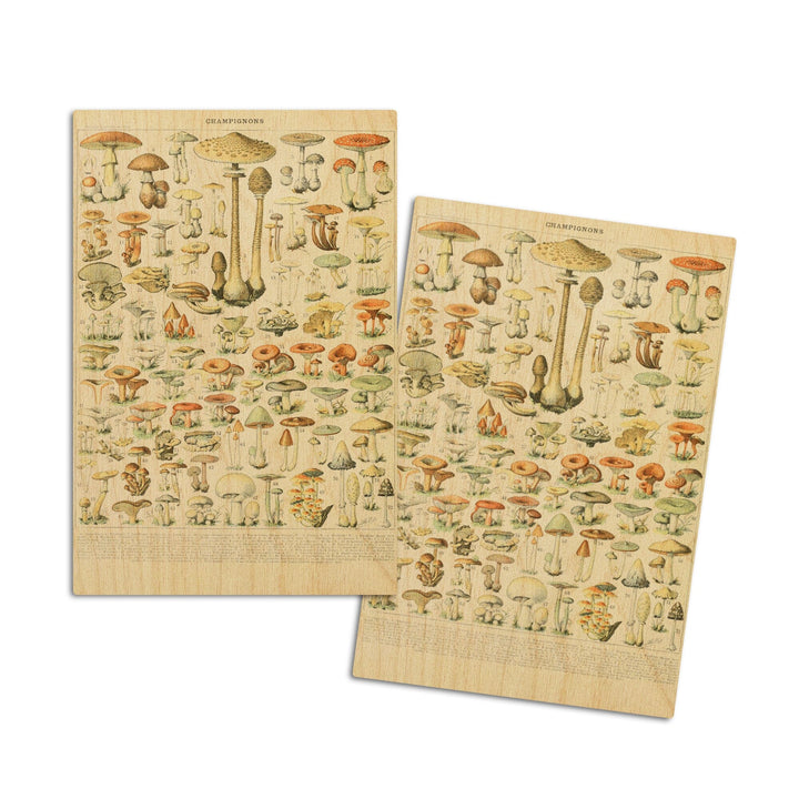 Mushrooms, B, Vintage Bookplate, Adolphe Millot Artwork, Wood Signs and Postcards Wood Lantern Press 4x6 Wood Postcard Set 