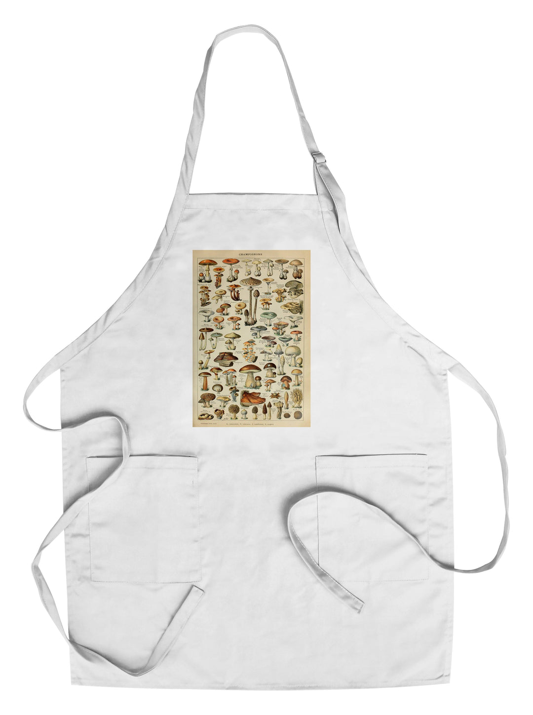 Mushrooms, C, Vintage Bookplate, Adolphe Millot Artwork, Towels and Aprons Kitchen Lantern Press Chef's Apron 