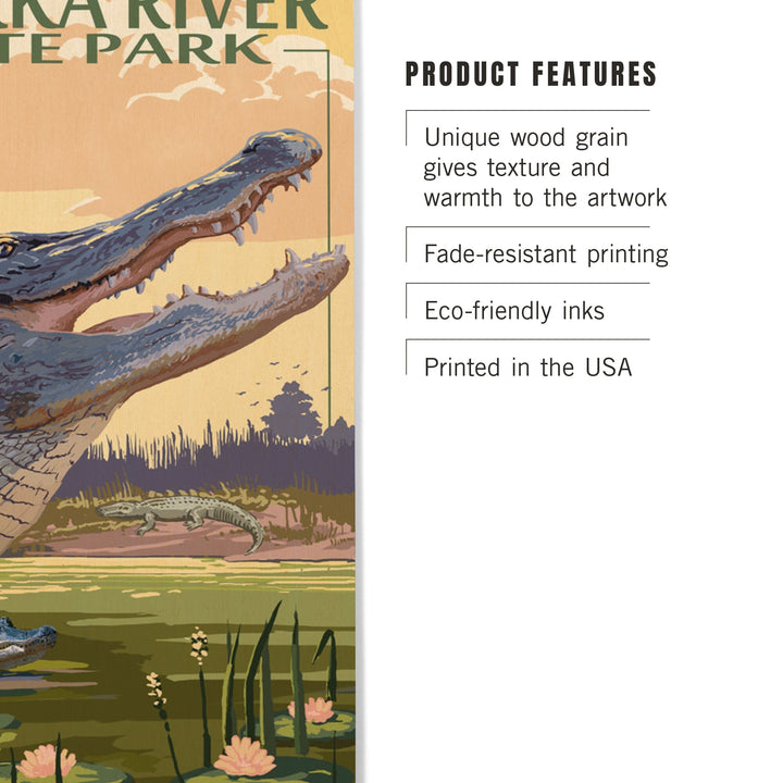 Myakka River State Park Sarasota, Florida, Alligator Scene, Lantern Press Poster, Wood Signs and Postcards Wood Lantern Press 