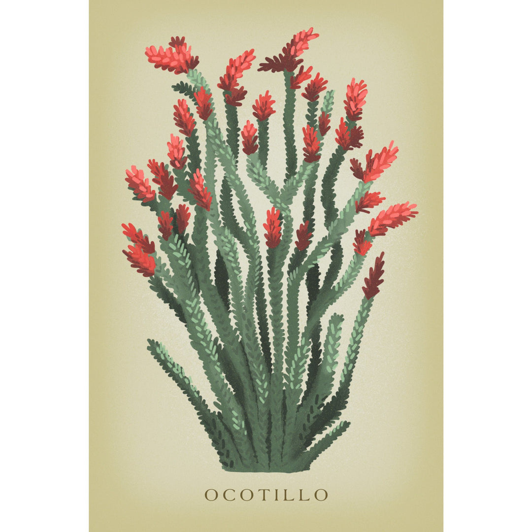 Ocotillo, Vintage Flora, Lantern Press Artwork, Stretched Canvas Canvas Lantern Press 