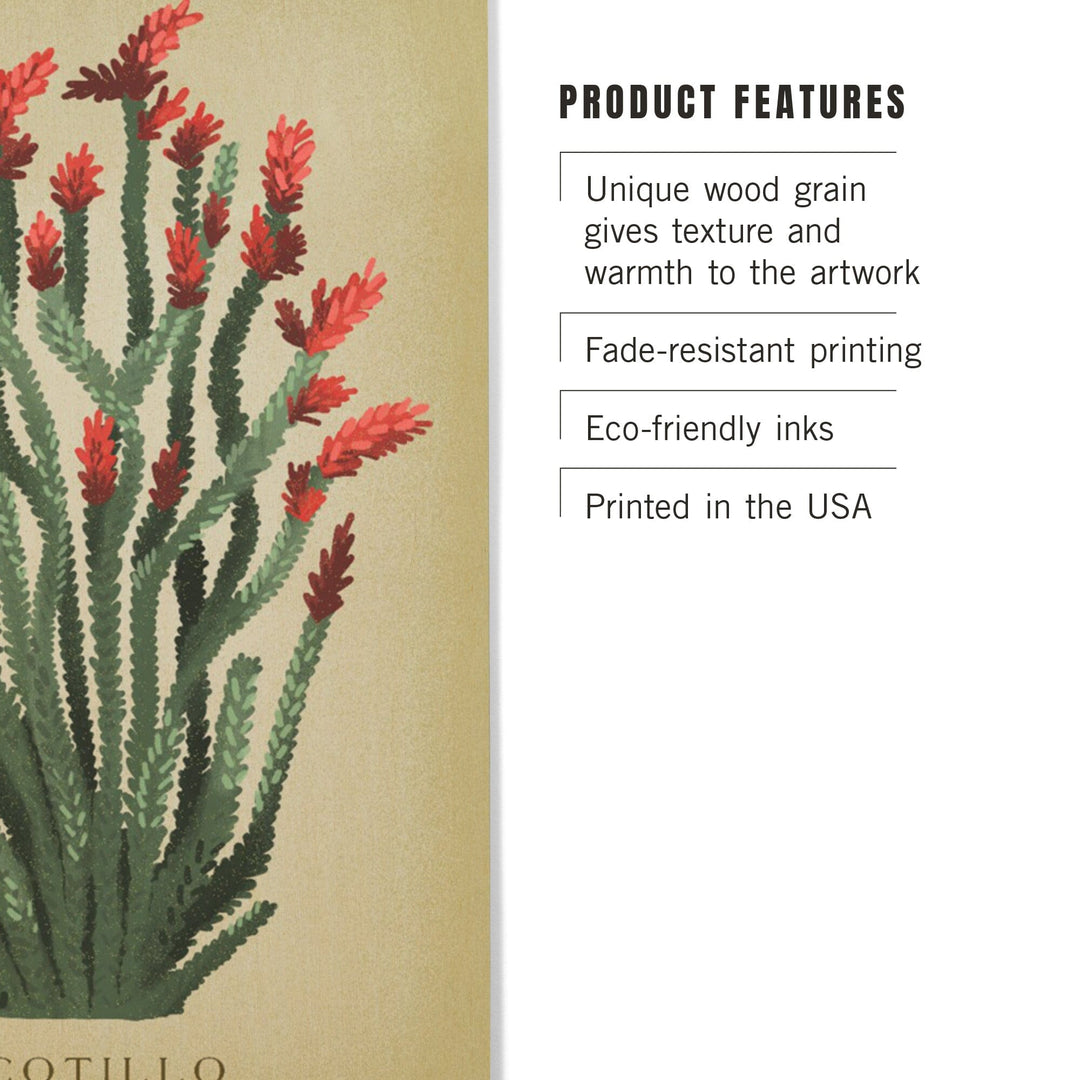 Ocotillo, Vintage Flora, Lantern Press Artwork, Wood Signs and Postcards Wood Lantern Press 