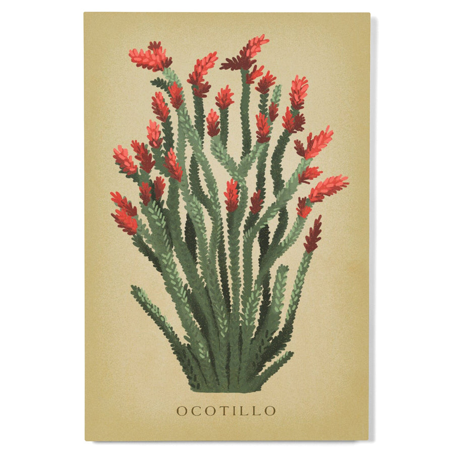 Ocotillo, Vintage Flora, Lantern Press Artwork, Wood Signs and Postcards Wood Lantern Press 