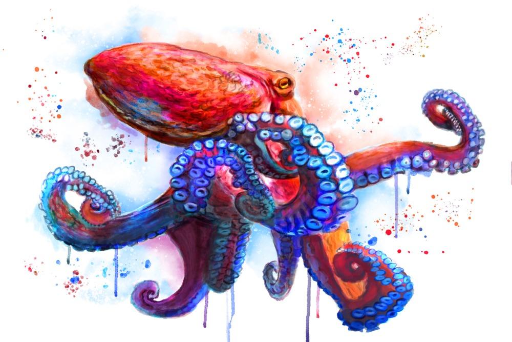 Octopus, Watercolor, Lantern Press Artwork, Art Prints and Metal Signs Art Lantern Press 12 x 18 Art Print 