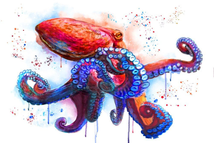 Octopus, Watercolor, Lantern Press Artwork, Art Prints and Metal Signs Art Lantern Press 12 x 18 Art Print 