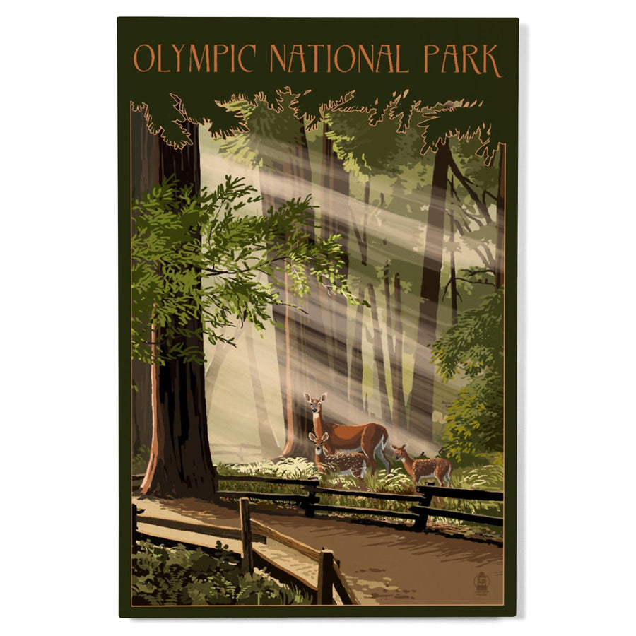 Olympic National Park, Washington, Deer and Fawns, Lantern Press Artwork, Wood Signs and Postcards Wood Lantern Press 