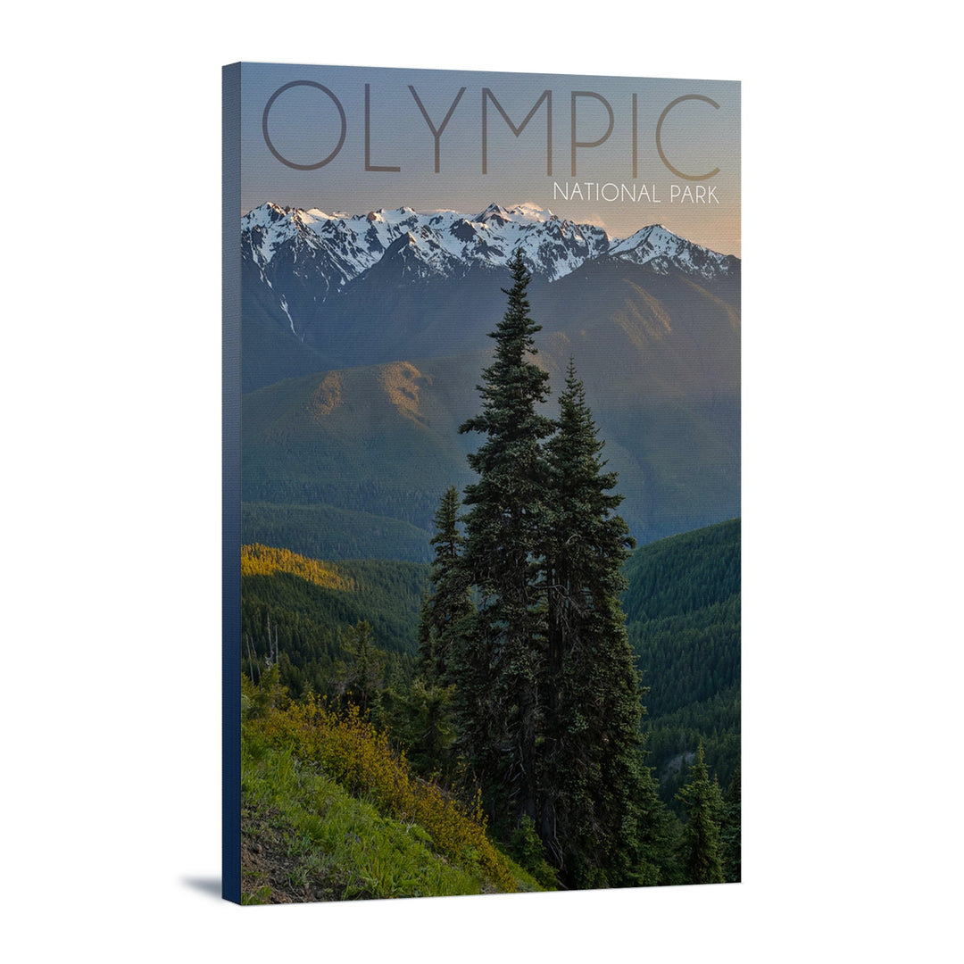Olympic National Park, Washington, Hurricane Ridge, Lantern Press Photography, Stretched Canvas Canvas Lantern Press 12x18 Stretched Canvas 