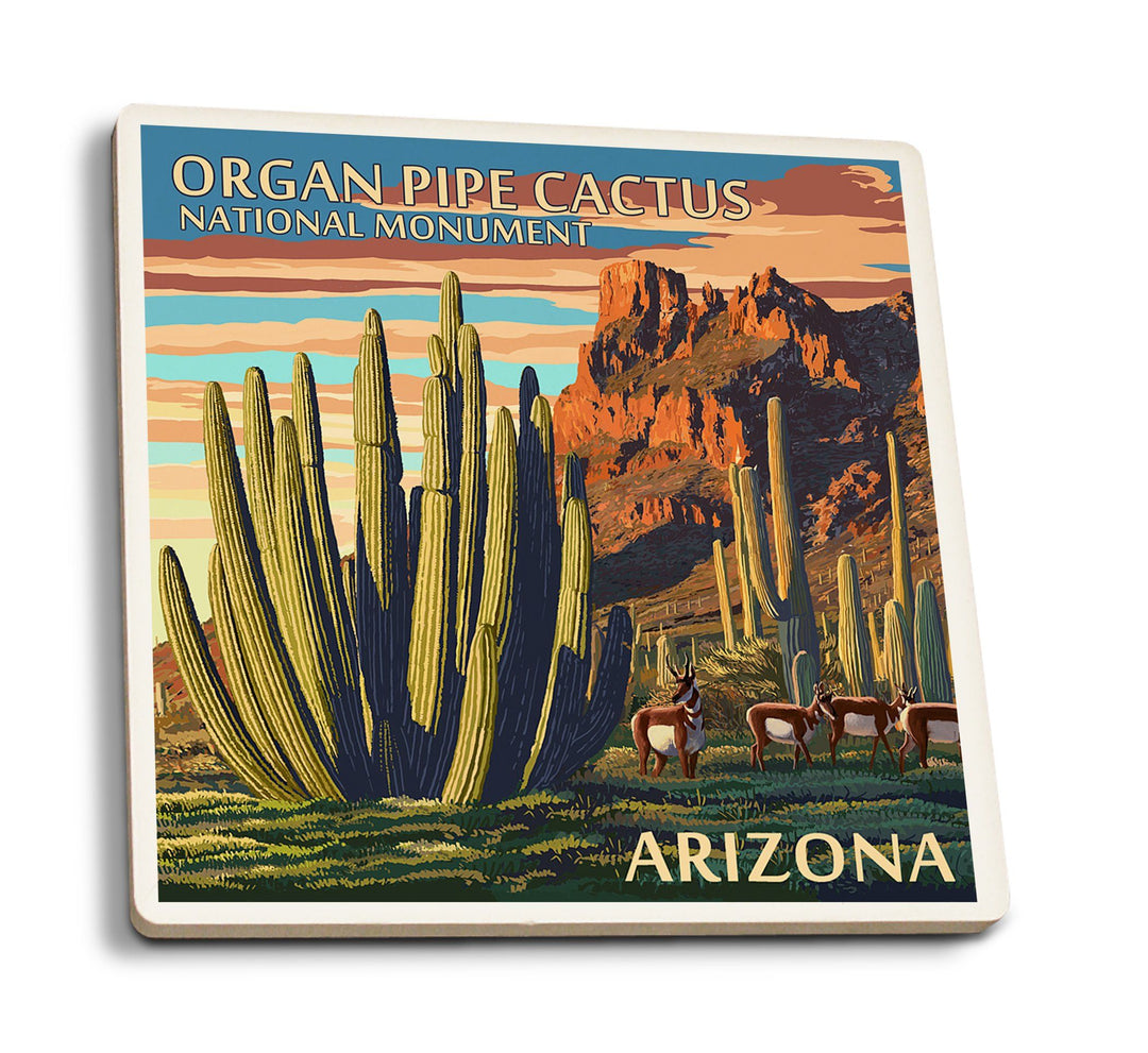 Organ Pipe Cactus National Monument, Arizona, Lantern Press Artwork, Coaster Set Coasters Lantern Press 