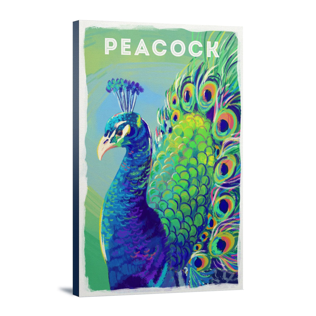Peacock, Vivid Series, Lantern Press Artwork, Stretched Canvas Canvas Lantern Press 12x18 Stretched Canvas 