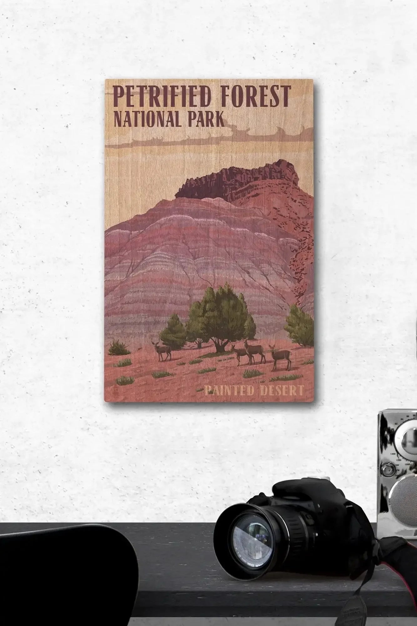 Petrified Forest National Park, Arizona, Painted Desert, Lantern Press