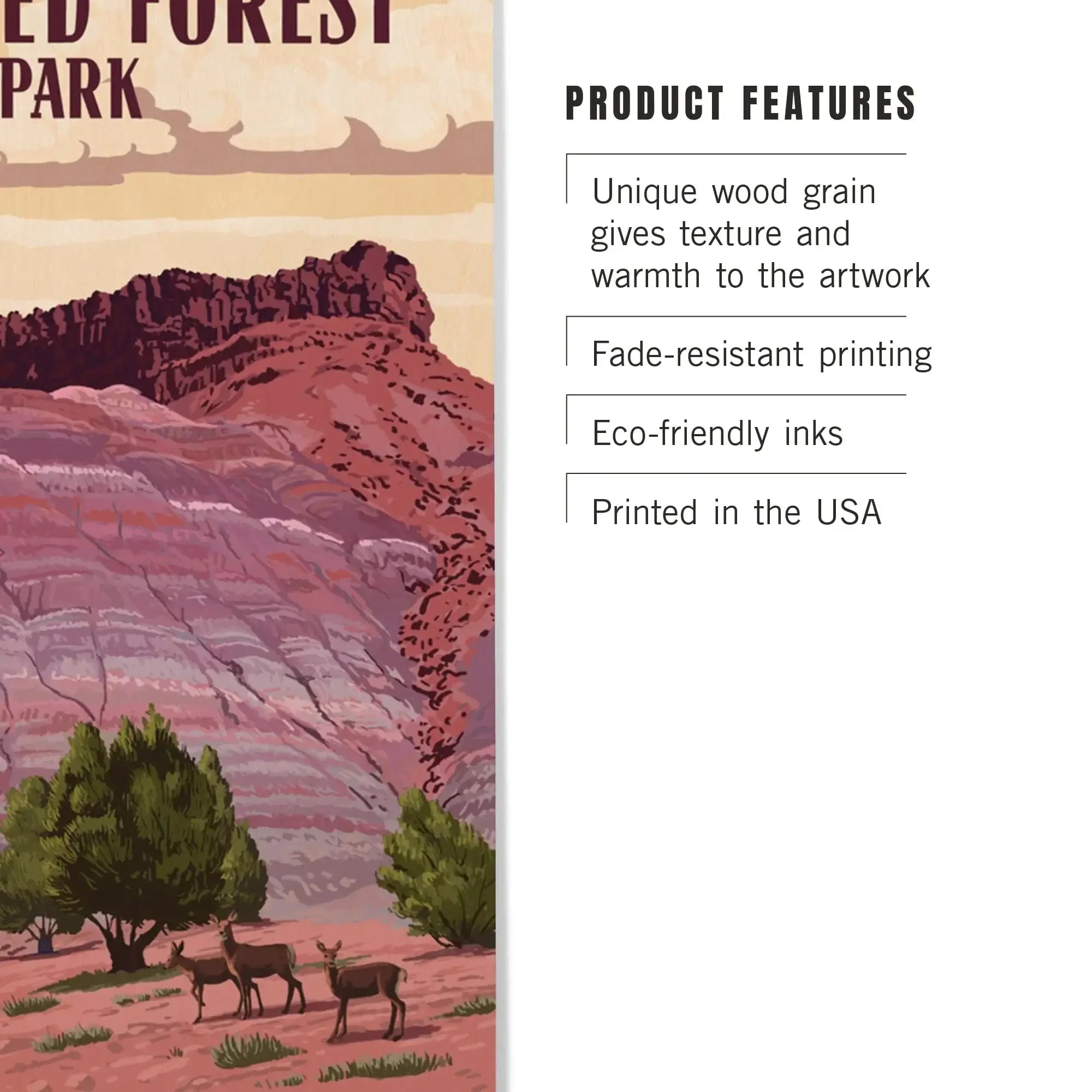 Petrified Forest National Park, Arizona, Painted Desert, Lantern Press
